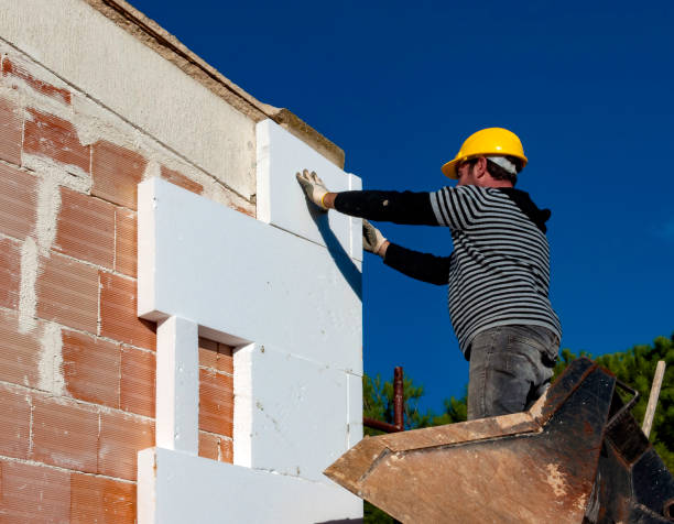 Best Types of Insulation in Primera, TX